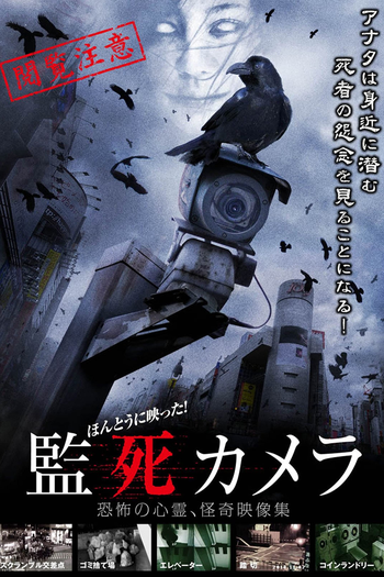 Poster de Filme Paranormal Surveillance Camera (2012)