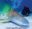 Rebelião dos Tubarões (Discovery Science)