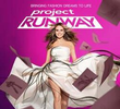Project runway ( 22ª temporada)