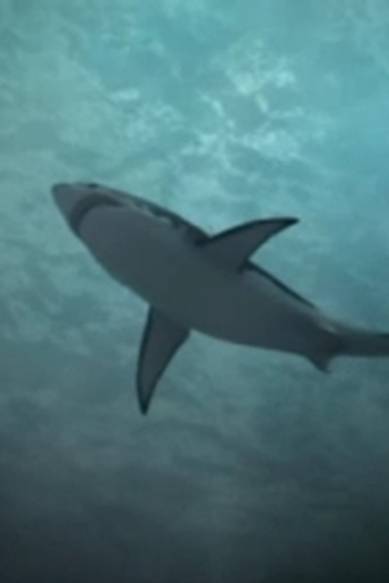 Poster de Episódio Deep Sea Killers (2008)