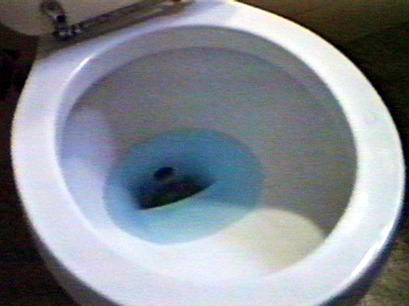 Foto 1 de Weather Diary 3