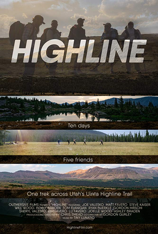 Poster 2 de Filme Highline (2020)