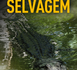 Mississippi Selvagem
