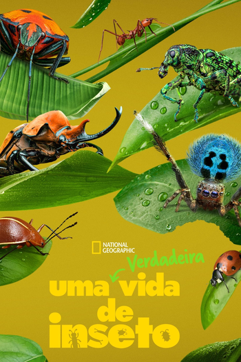  de Série Uma Verdadeira Vida de Inseto (1ª Temporada) (2024)
