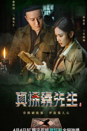 Poster de Série True Detective Mr. Qin (2023)