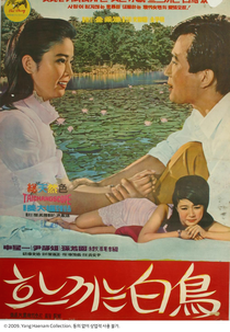 Weeping Swan (흐느끼는 백조)