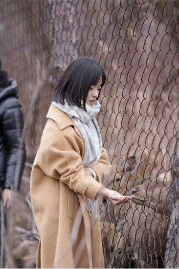  de TV The Inn 2 (2018)