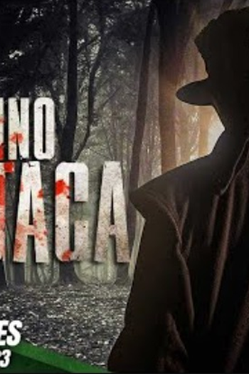 Poster de Filme O Assassino de Estaca (2009)