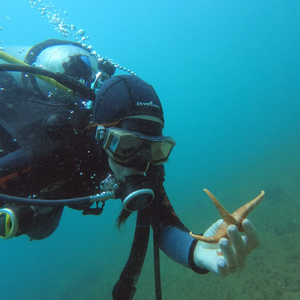Foto de perfil de Lorena