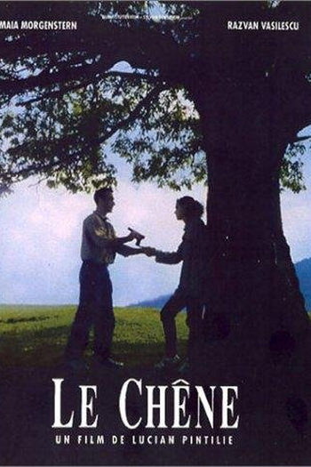  de Filme O Carvalho (1992)