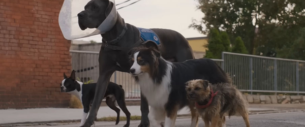 Assista ao trailer de Ruim Pra Cachorro, com voz de Jamie Foxx