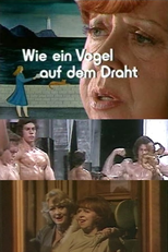 Como um Pássaro no Fio (Wie ein Vogel auf dem Draht)