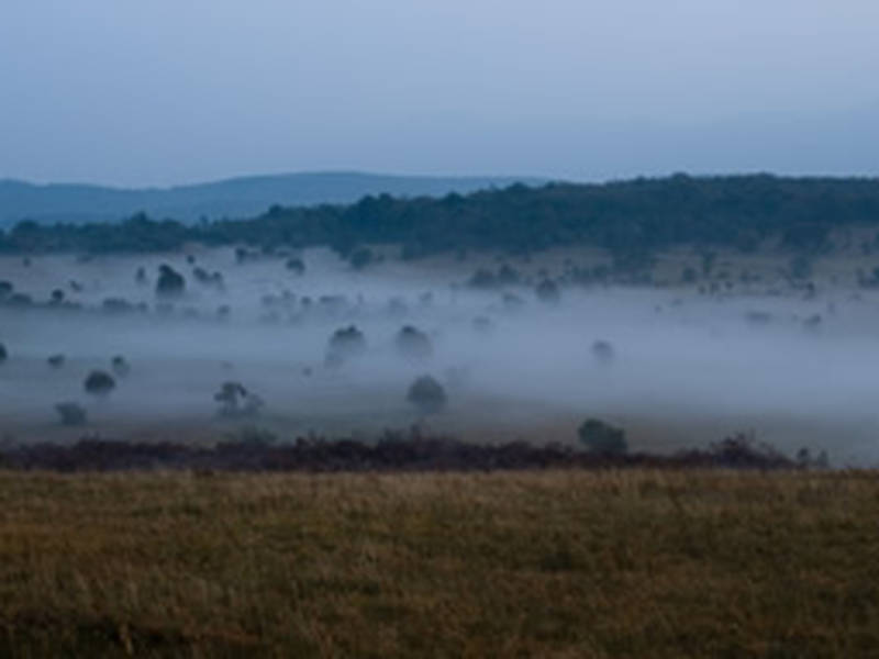 Foto 13 de Arheo        (Archeo)