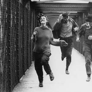 Foto de perfil de Pavoni