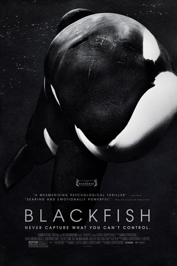  de Filme Blackfish: Fúria Animal (2013)