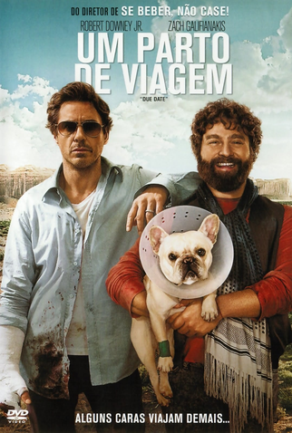 Poster 9 de Filme Um Parto de Viagem (2010)