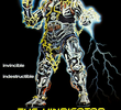 RoboMan