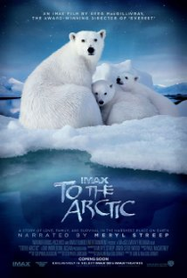 To the Arctic 3D - Poster / Capa / Cartaz - Oficial 1