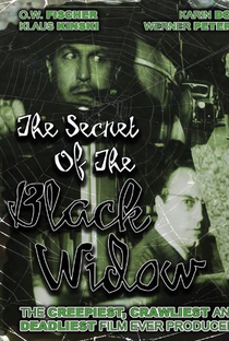 O segredo da Aranha Negra - Poster / Capa / Cartaz - Oficial 2