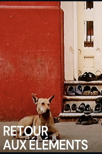 Poster de Filme BACK TO THE ELEMENTS (2010)