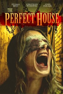 The Perfect House - Poster / Capa / Cartaz - Oficial 1
