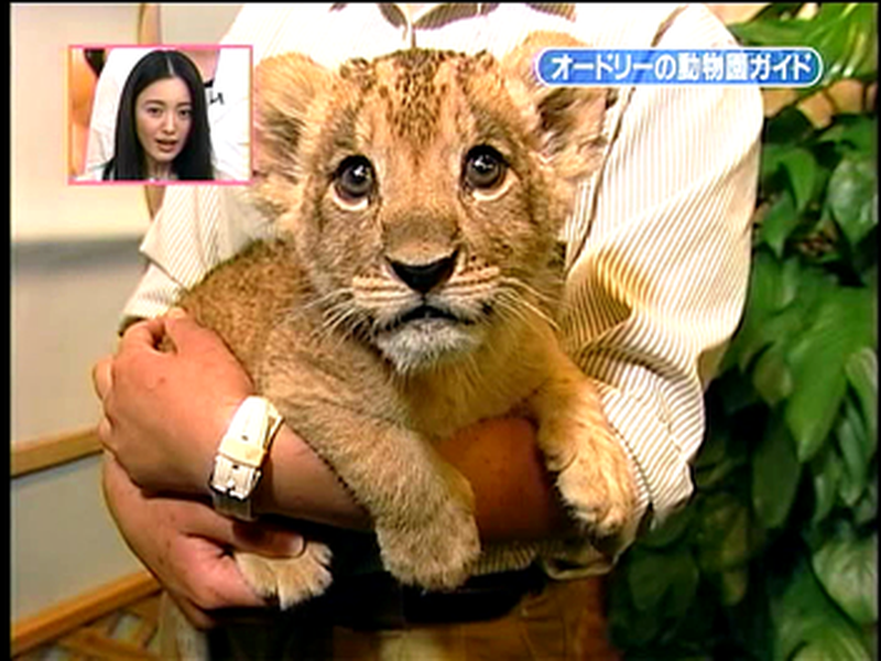 Foto 12 de Tensai! Shimura Dōbutsuen