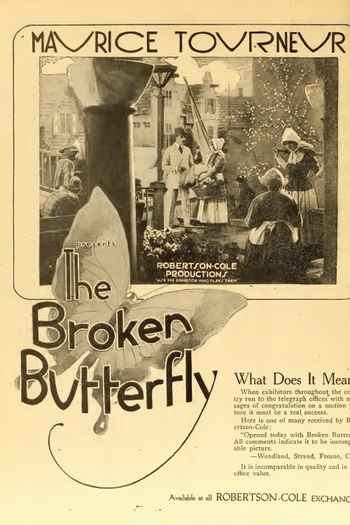 Poster de Filme The Broken Butterfly (1919)