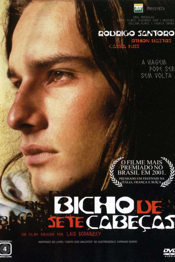 Poster de Filme Bicho de Sete Cabeças (2001)