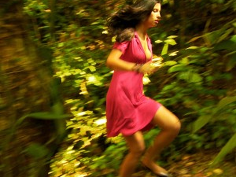 Foto 1 de Ferocidade - Entre a Urbe e a Flora