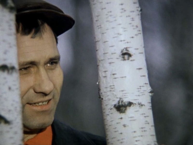 Foto 13 de The Red Snowball Tree 