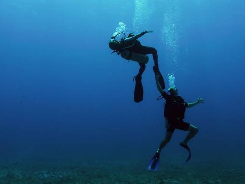 Foto 1 de Sangue Azul