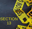 Section 13
