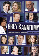 A Anatomia de Grey (6ª Temporada)