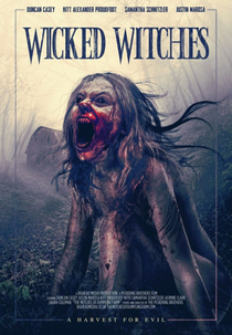 Wicked Witches (The Witches of Dumpling Farm)