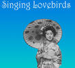 Singing Lovebirds