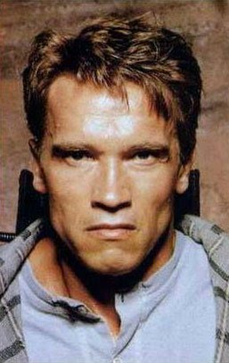 Arnold Schwarzenegger - Foto 6