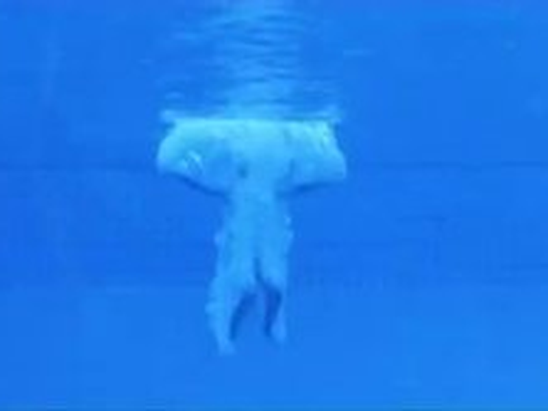 Foto 4 de Under the sun