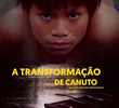 A Transformação De Canuto