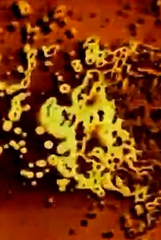 Poster 1 de Curta High Voltage (1959)