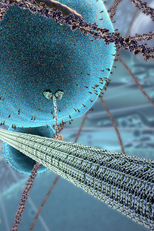 The Inner Life of the Cell (The Inner Life of the Cell)