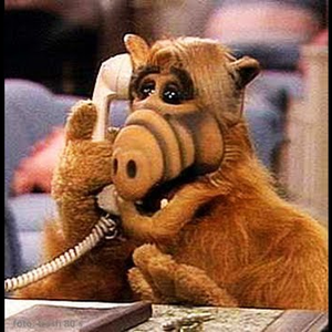 Foto de perfil de Yuri