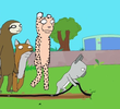 Broadcast Zoos