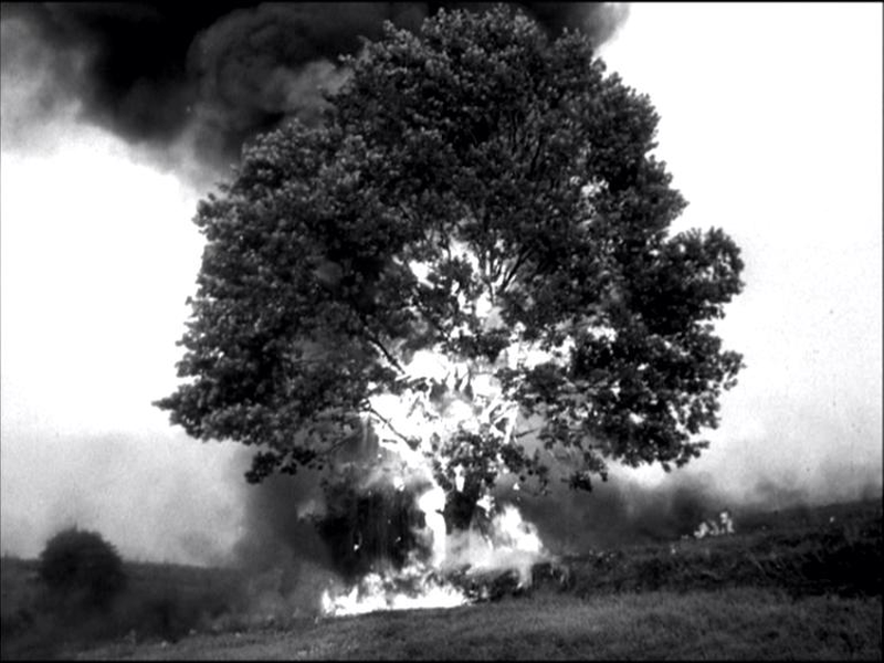 Foto 19 de Konopielka