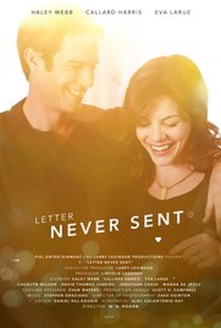 Poster 1 de Filme Letter Never Sent (2015)