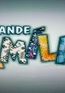 A Grande Família (9ª Temporada) (A Grande Família (9ª Temporada))