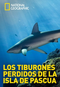 Os Tubarões da Ilha de Páscoa (Lost Sharks of Easter Island)