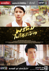 Pure Intention (Prom Mai Dai Likit)