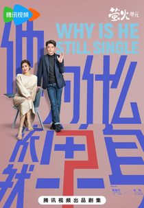Why Is He Still Single? (他为什么依然单身)