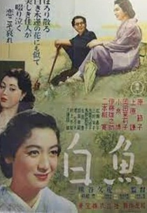 White Fish (Shirauo)