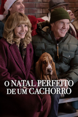O Natal Perfeito de um Cachorro (A Dog's Perfect Christmas)